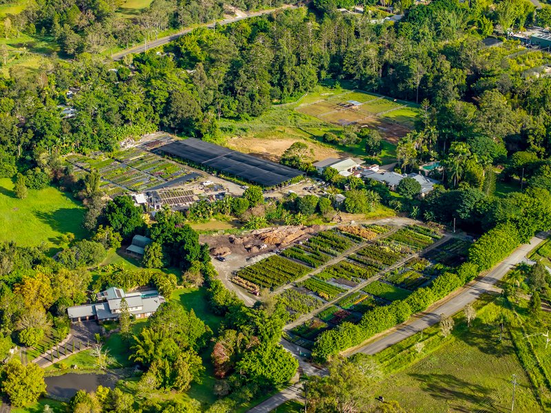 Photo - 69 Currey Road, Wongawallan QLD 4210 - Image 15