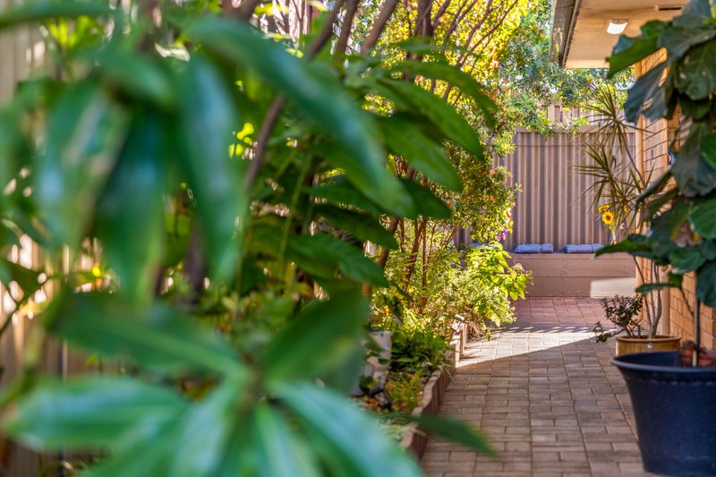 Photo - 69 Duffield Road, Margate QLD 4019 - Image 26
