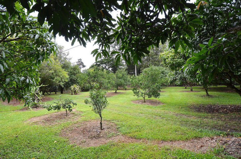 Photo - 69 Estelle Road, Currumbin Valley QLD 4223 - Image 2