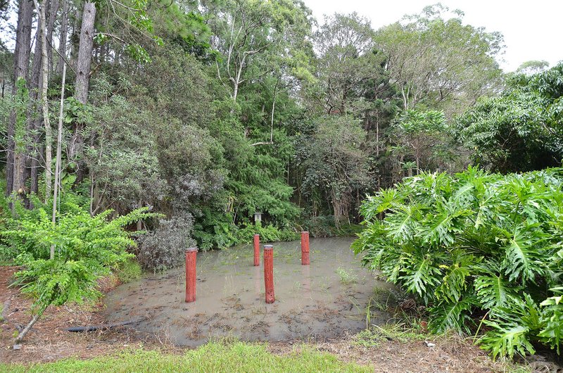 Photo - 69 Estelle Road, Currumbin Valley QLD 4223 - Image 11