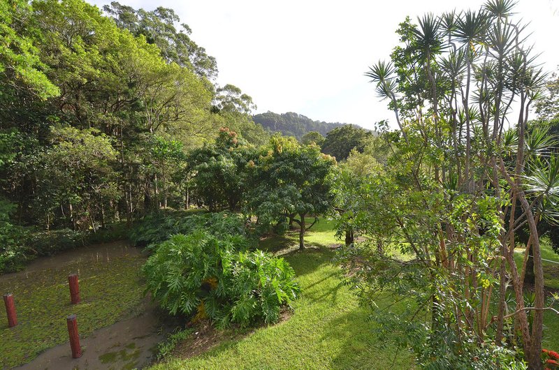 Photo - 69 Estelle Road, Currumbin Valley QLD 4223 - Image 14