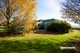 Photo - 69 Lemana Road, Red Hills TAS 7304 - Image 35