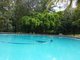 Photo - 69 Parsons Road, Forest Glen QLD 4556 - Image 21