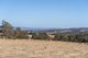 Photo - 69 Towers Drive, St Leonards TAS 7250 - Image 5