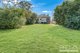 Photo - 69 Willison Road, Carlton NSW 2218 - Image 8