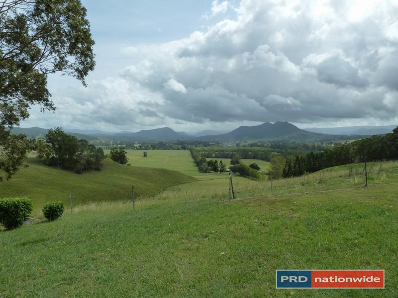 691 Wiangaree Back Road, Kyogle NSW 2474