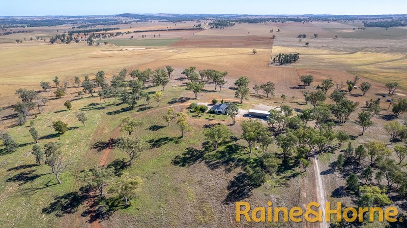 692 Ponto Falls Road, Maryvale NSW 2820