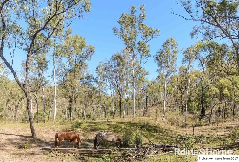 Photo - 695 Awoonga Dam Road (Aka 162 Pikes Crossing Rd) Road, Benaraby QLD 4680 - Image 15