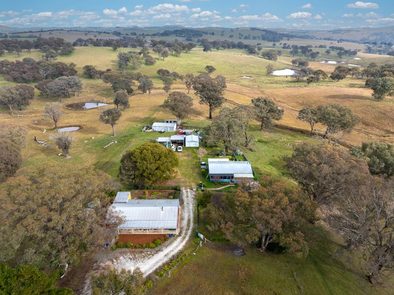 695 Caloola Road, Newbridge NSW 2795