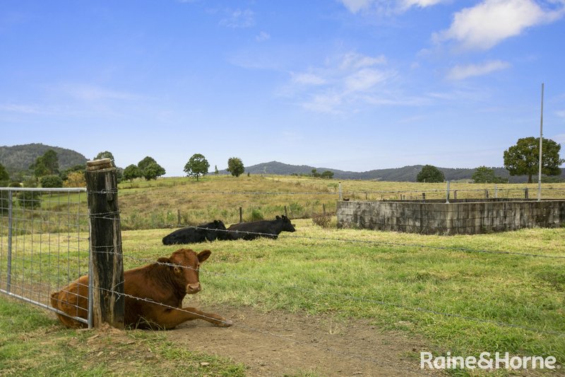 Photo - 695 Coles Creek Road, Cooran QLD 4569 - Image 10