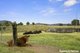 Photo - 695 Coles Creek Road, Cooran QLD 4569 - Image 10