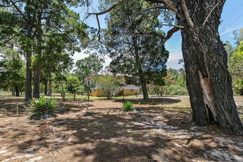 Photo - 696 Beachmere Road, Beachmere QLD 4510 - Image 10