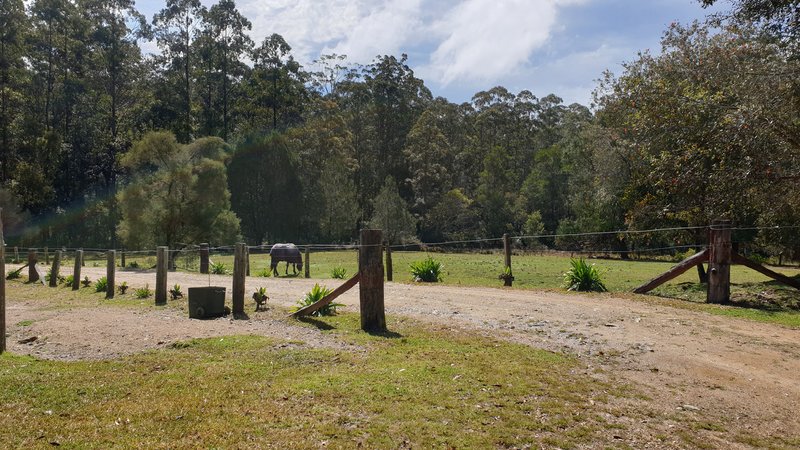 Photo - 697 Camp Creek Rd , Lowanna NSW 2450 - Image 2