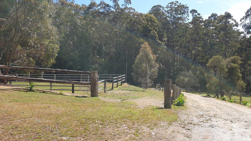 Photo - 697 Camp Creek Rd , Lowanna NSW 2450 - Image 3