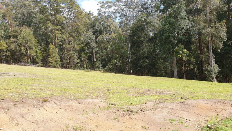 Photo - 697 Camp Creek Rd , Lowanna NSW 2450 - Image 6