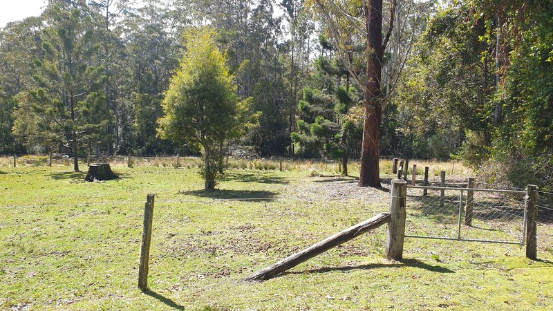 Photo - 697 Camp Creek Rd , Lowanna NSW 2450 - Image 14