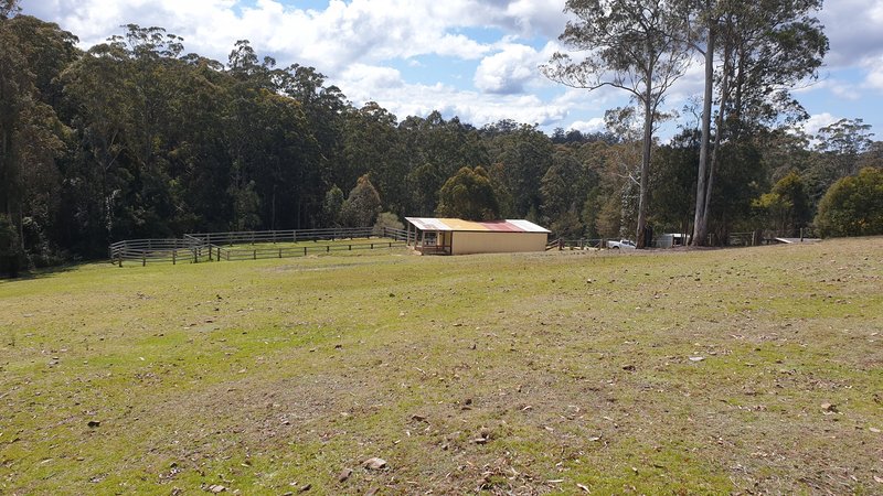 Photo - 697 Camp Creek Rd , Lowanna NSW 2450 - Image 17