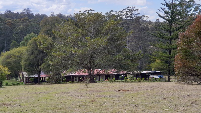 Photo - 697 Camp Creek Rd , Lowanna NSW 2450 - Image 23