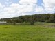 Photo - 698 Marsh Road, Bobs Farm NSW 2316 - Image 5