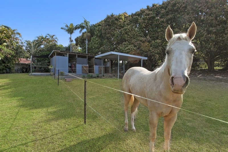 Photo - 699 Tallebudgera Creek Road, Tallebudgera QLD 4228 - Image 4