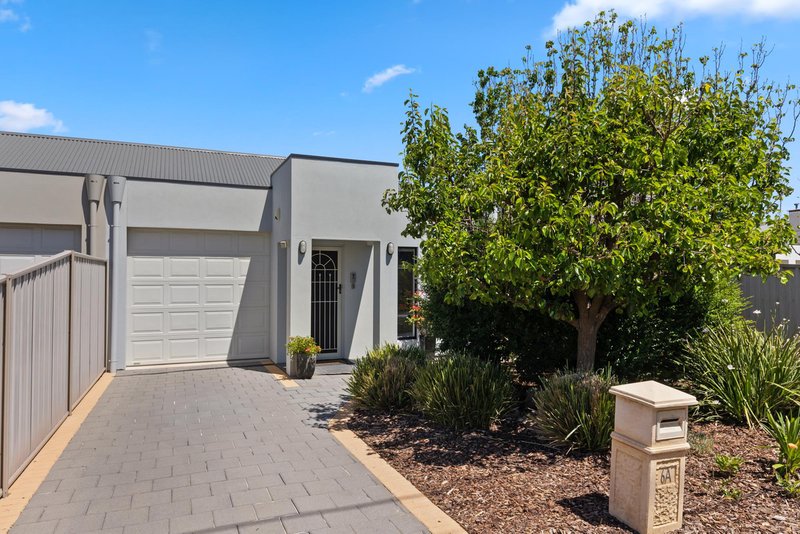 6A Elgin Avenue, Warradale SA 5046