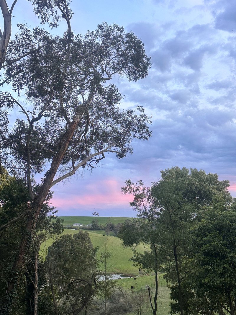 Photo - 6a Peters Street, Mirboo North VIC 3871 - Image 4