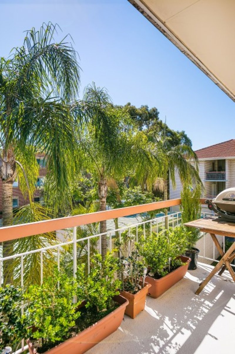 Photo - 6c/31 Quirk Road, Manly Vale NSW 2093 - Image 3