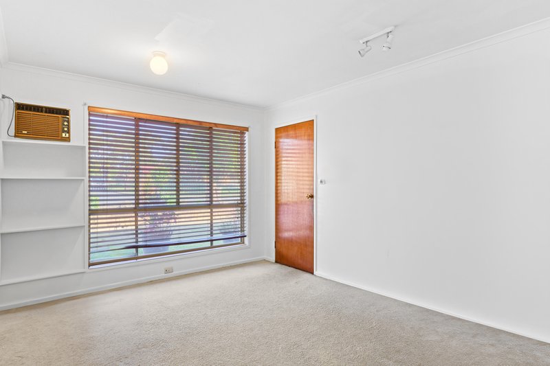 Photo - 7 Abelia Street, Alexandra Hills QLD 4161 - Image 12