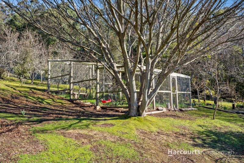 Photo - 7 Aberys Road, Sandfly TAS 7150 - Image 15