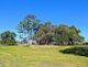 Photo - 7 Aero Street, Brighton-Le-Sands NSW 2216 - Image 15