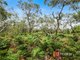 Photo - 7 Albatross Court, Cannons Creek VIC 3977 - Image 2