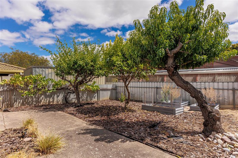 Photo - 7 Allman Crescent, Aberfoyle Park SA 5159 - Image 21