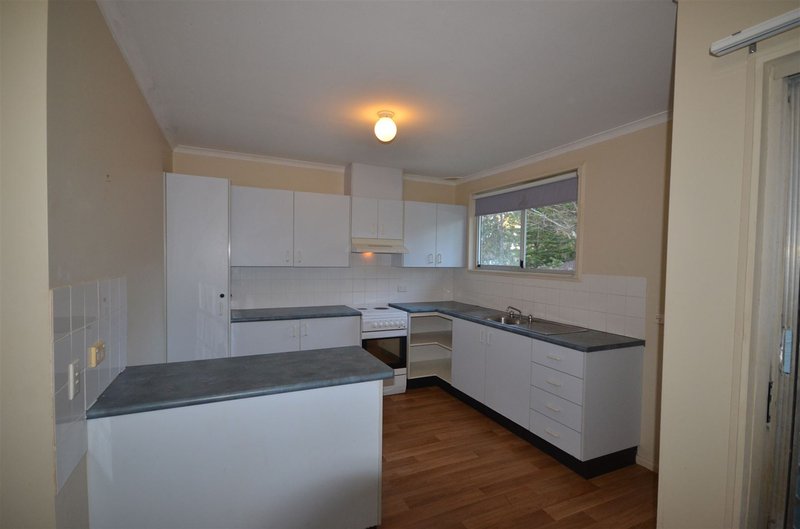 Photo - 7 Allman Street, Port Macquarie NSW 2444 - Image 3