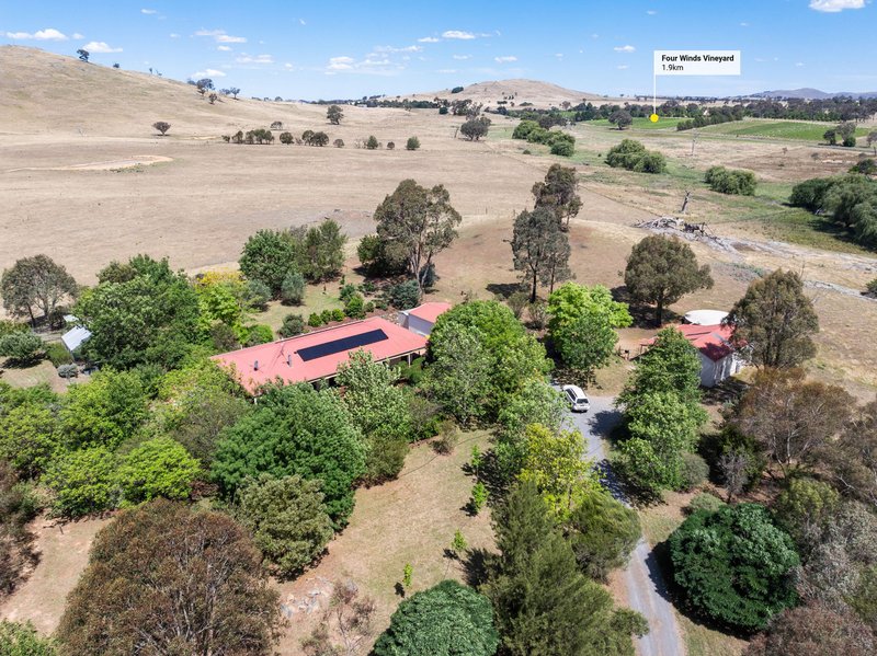 Photo - 7 Ambleside Avenue, Murrumbateman NSW 2582 - Image 9