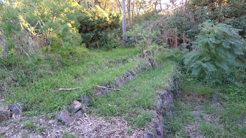 Photo - 7 Amelia Street, Carey Bay NSW 2283 - Image 6