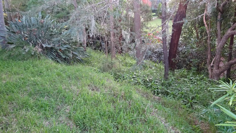 Photo - 7 Amelia Street, Carey Bay NSW 2283 - Image 8