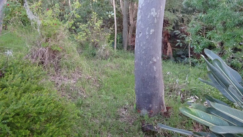 Photo - 7 Amelia Street, Carey Bay NSW 2283 - Image 11