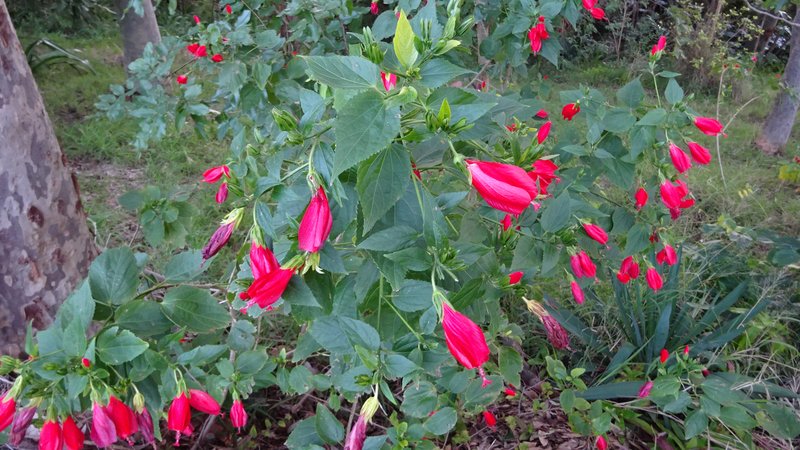 Photo - 7 Amelia Street, Carey Bay NSW 2283 - Image 12