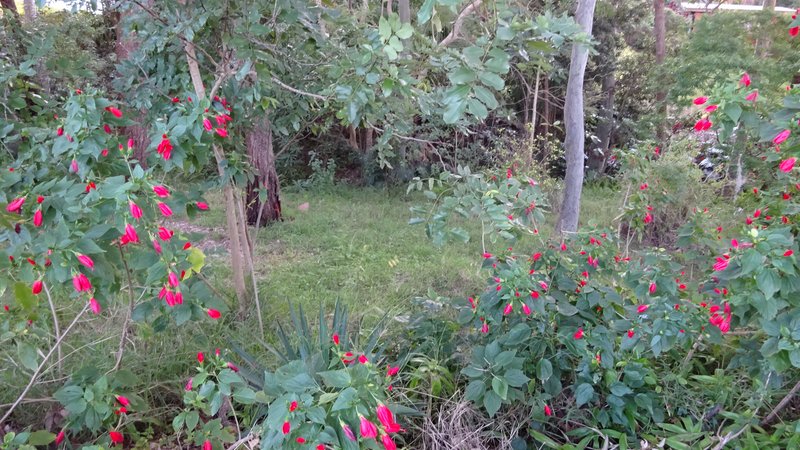 Photo - 7 Amelia Street, Carey Bay NSW 2283 - Image 13