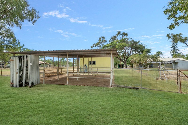 Photo - 7 Andalusian Place, Black River QLD 4818 - Image 13