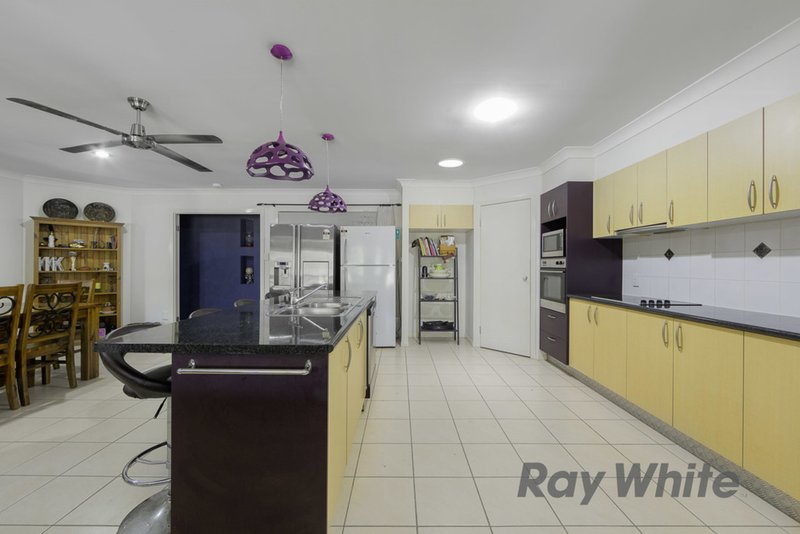 Photo - 7 Aphrodite Court, Cleveland QLD 4163 - Image 2