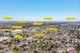 Photo - 7 Aris Court, Craigieburn VIC 3064 - Image 12