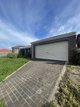 Photo - 7 Ashmore Avenue, Narre Warren South VIC 3805 - Image 3