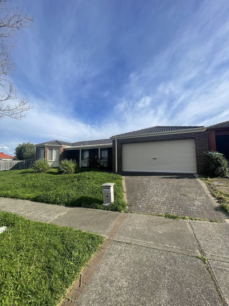 Photo - 7 Ashmore Avenue, Narre Warren South VIC 3805 - Image 4