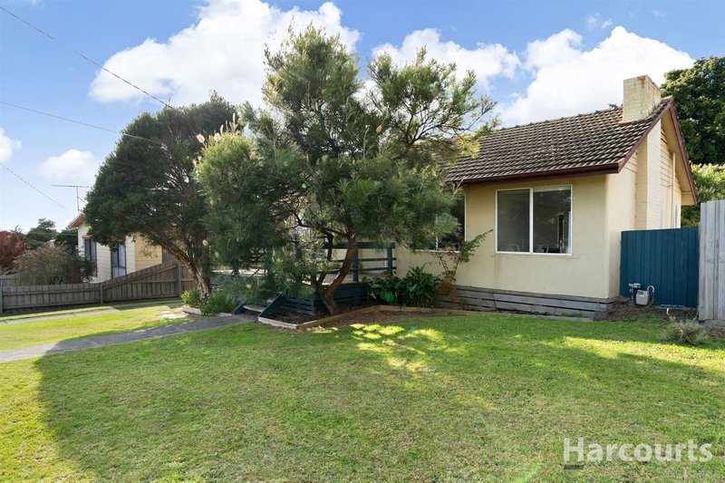 Photo - 7 Baw Baw Street, Moe VIC 3825 - Image 3