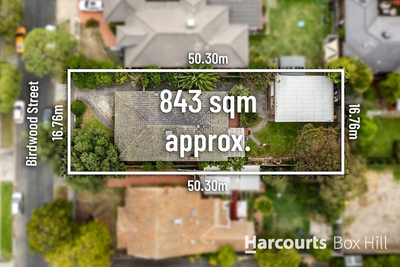 Photo - 7 Birdwood Street, Box Hill South VIC 3128 - Image 2