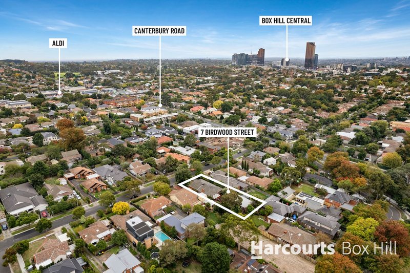 Photo - 7 Birdwood Street, Box Hill South VIC 3128 - Image 17