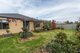 Photo - 7 Birkdale Square, Tatura VIC 3616 - Image 16