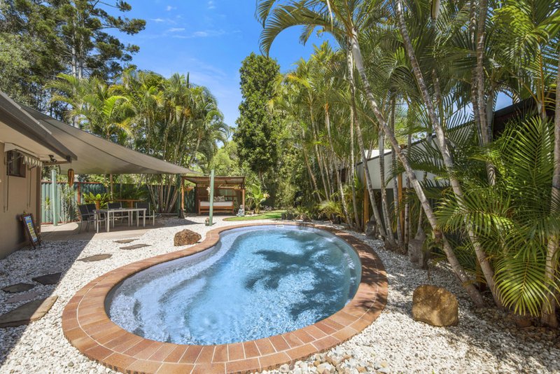 Photo - 7 Blackwood Place, Palm Beach QLD 4221 - Image 9