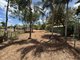 Photo - 7 Bombax Court, Nanum QLD 4874 - Image 5